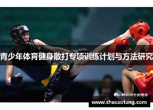 青少年体育健身散打专项训练计划与方法研究