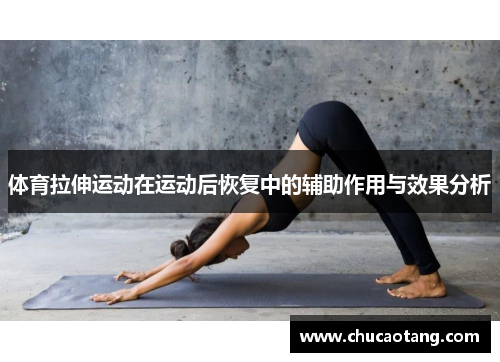 体育拉伸运动在运动后恢复中的辅助作用与效果分析