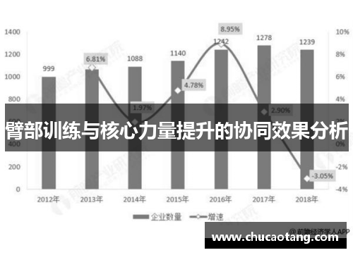 臂部训练与核心力量提升的协同效果分析